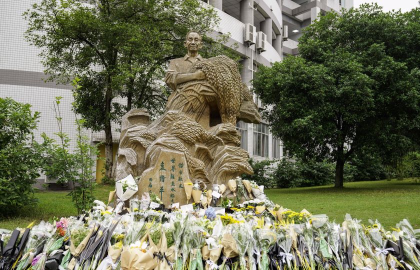 22. května dali učitelé studenti květiny před sochu Yuan Longpinga na Univerzitě jihozápadní Číny.