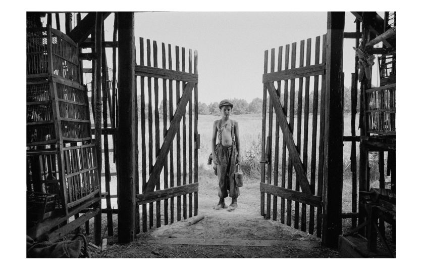 Nabarvené ptáče. Foto: Česká filmová a televizní akademie 
