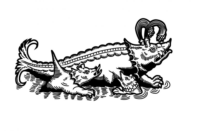 Ilustrace z knihy Fantastický bestiář cestovatelů.